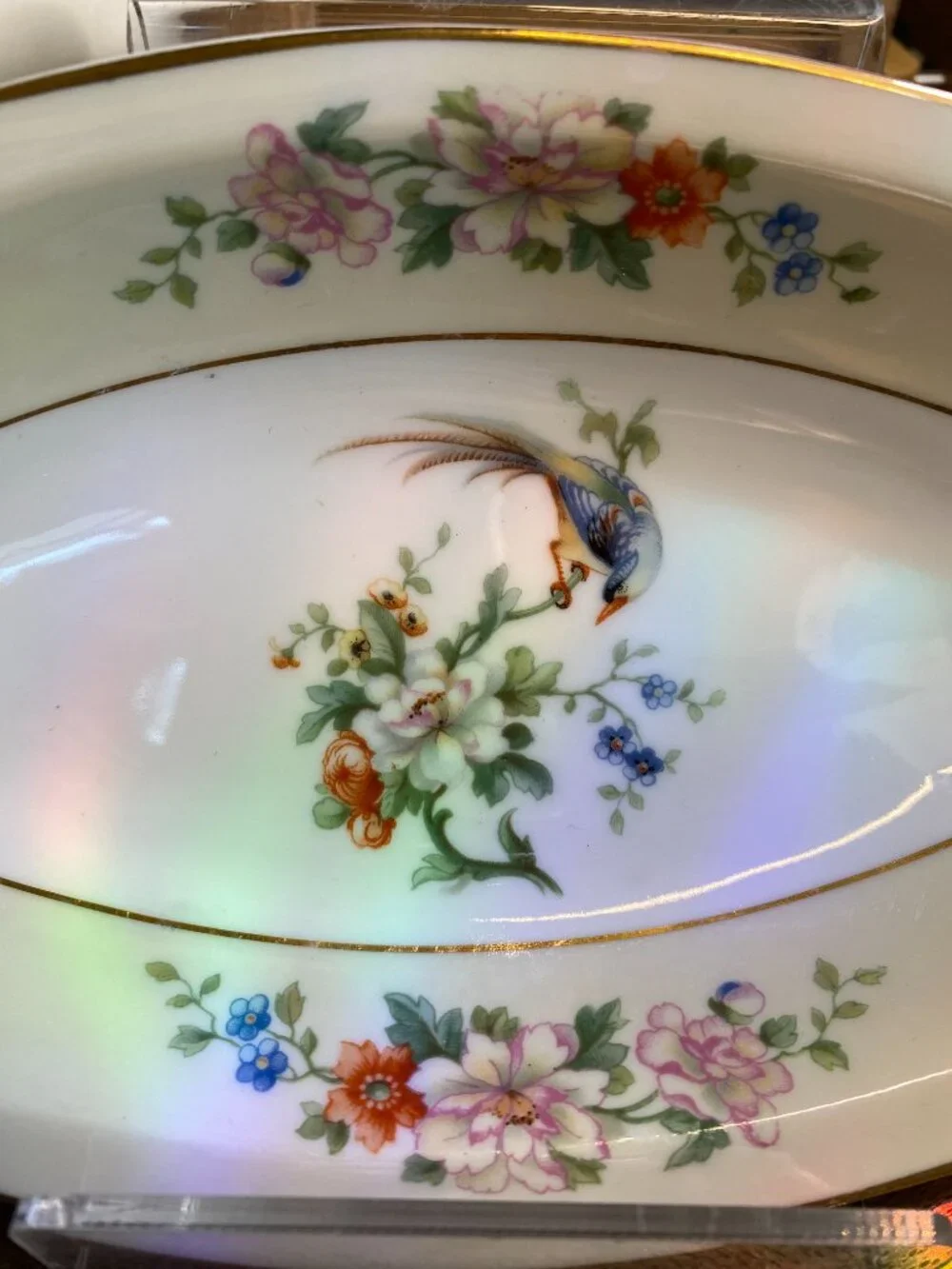 Antique 1920's Imperial Heinrich & Co Selb Bavaria Relish Dish Songbird